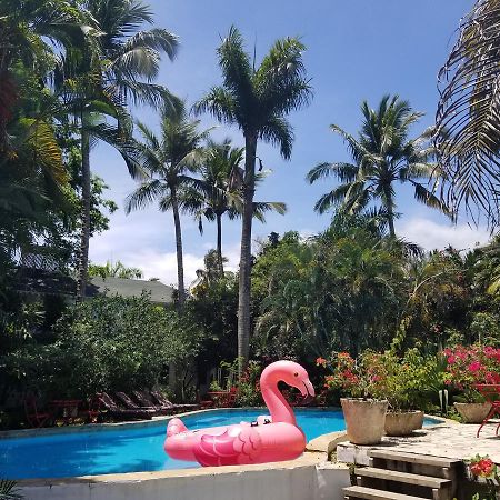 Cabarete Surf Camp Hotell Exteriör bild