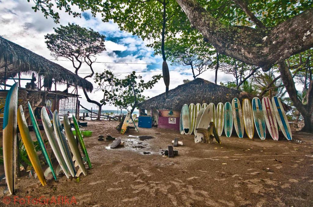Cabarete Surf Camp Hotell Exteriör bild