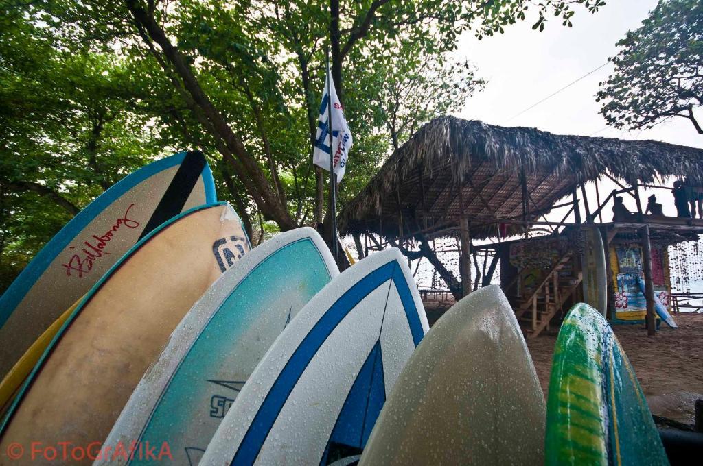 Cabarete Surf Camp Hotell Exteriör bild