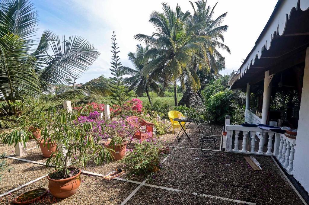 Cabarete Surf Camp Hotell Exteriör bild