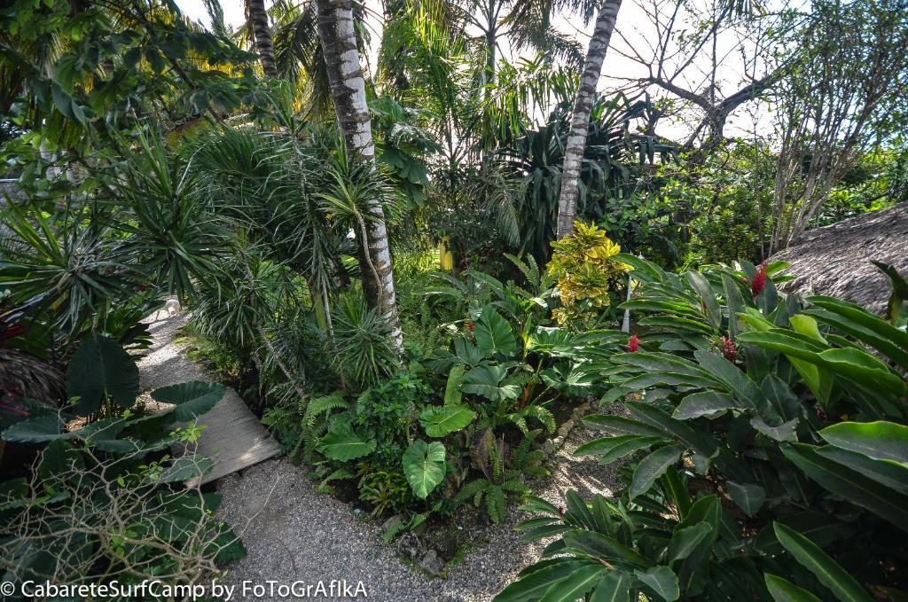 Cabarete Surf Camp Hotell Exteriör bild