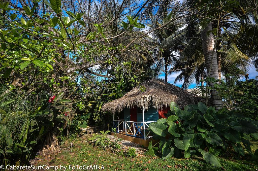 Cabarete Surf Camp Hotell Exteriör bild