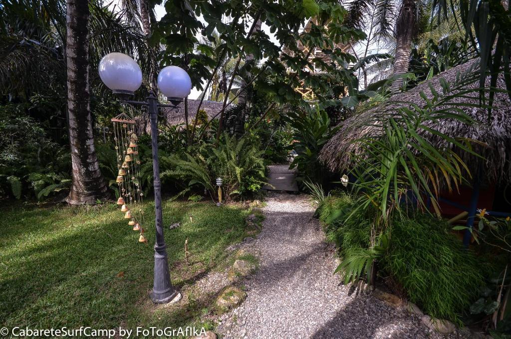 Cabarete Surf Camp Hotell Exteriör bild