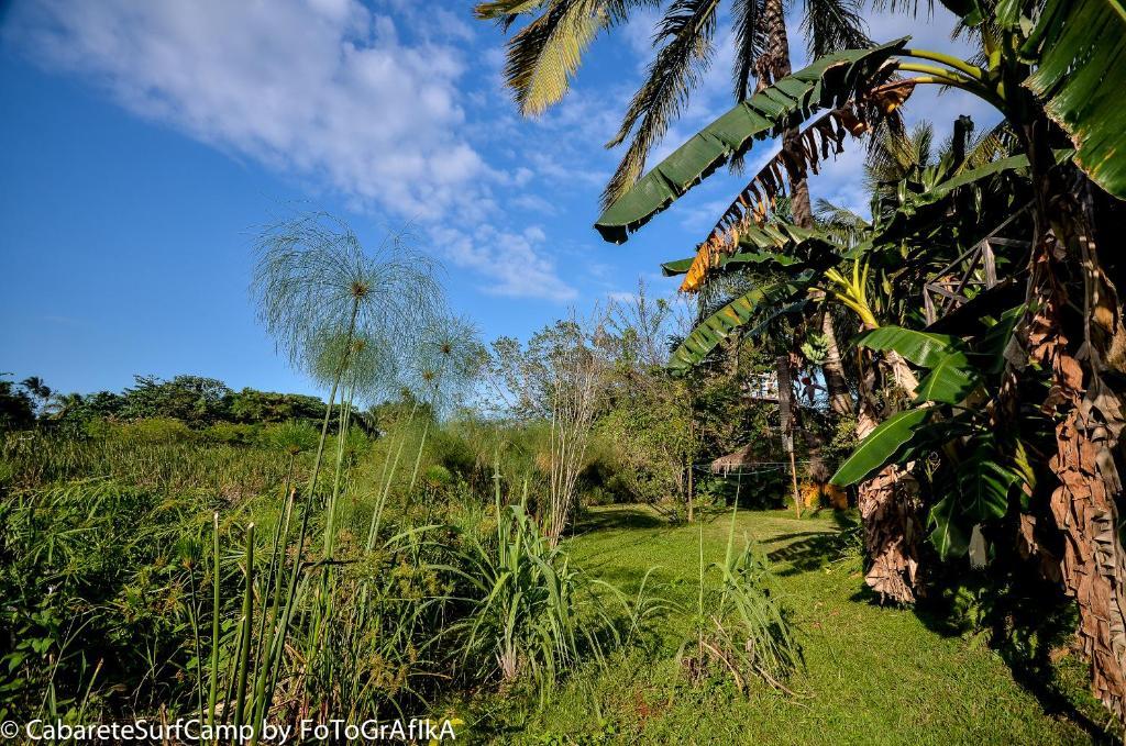 Cabarete Surf Camp Hotell Exteriör bild
