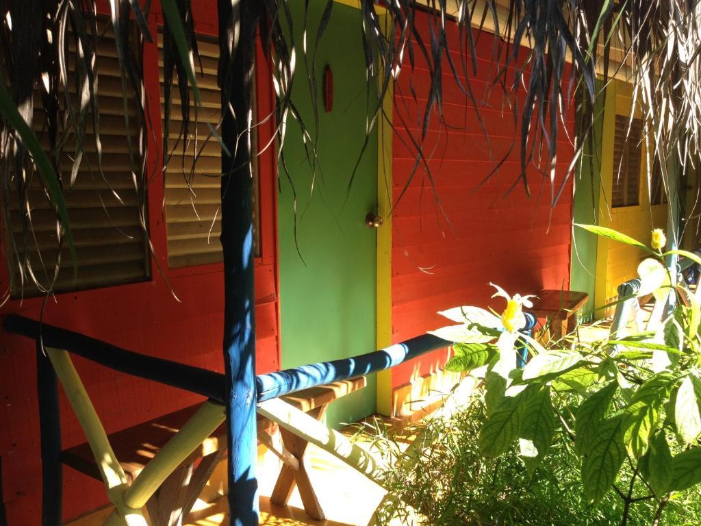 Cabarete Surf Camp Hotell Exteriör bild