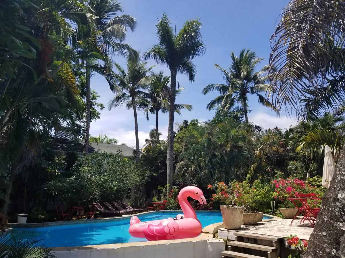 Cabarete Surf Camp Hotell Exteriör bild