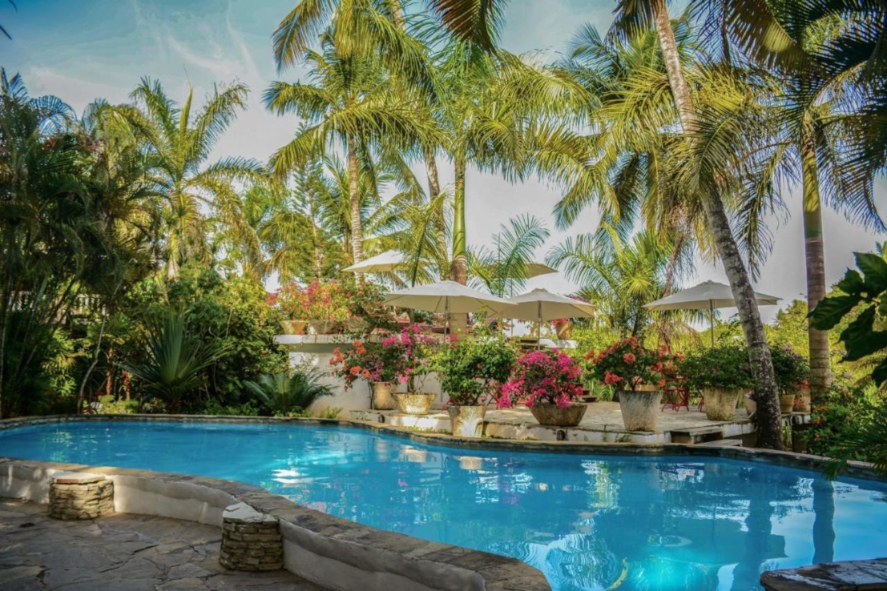 Cabarete Surf Camp Hotell Exteriör bild