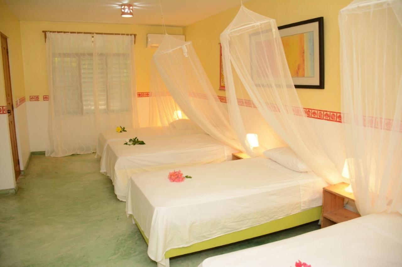 Cabarete Surf Camp Hotell Exteriör bild